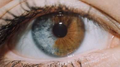 کمیاب ترین رنگ چشم چیست؟ 9 کمیاب ترین رنگ چشم چیست؟