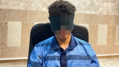 4 نکته از پرونده قتل «امیرمحمد خالقی» که نمیدانید 1 4 نکته از پرونده قتل «امیرمحمد خالقی» که نمیدانید