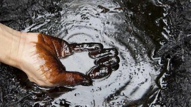 لیست کشورهای نفتی دنیا منتشر شد؛ ایران چندمین کشور نفتی دنیا است؟ 7 لیست کشورهای نفتی دنیا منتشر شد؛ ایران چندمین کشور نفتی دنیا است؟