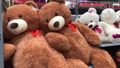 آقایان سهتا سهتا خرس ولنتاین میخرند! باور کردن ولنتاین یا طلاق و روابط موازی؟ 9 آقایان سهتا سهتا خرس ولنتاین میخرند! باور کردن ولنتاین یا طلاق و روابط موازی؟