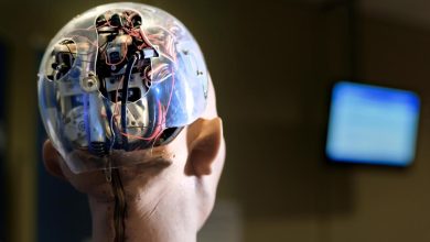 رقابت با تسلا: Agibot چینی آماده تولید انبوه رباتهای انساننما میشود 2 رقابت با تسلا: Agibot چینی آماده تولید انبوه رباتهای انساننما میشود