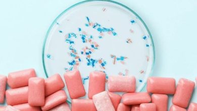 جویدن آدامس میتواند بزاق را به هزاران میکروپلاستیک آغشته کند 5 جویدن آدامس میتواند بزاق را به هزاران میکروپلاستیک آغشته کند