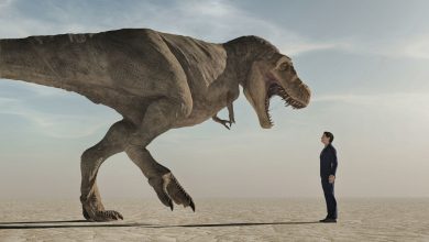 علت انقراض عجیب دایناسورها را در یک دقیقه ببینید +ویدئو