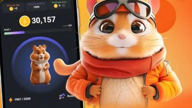 همستر کامبت با کاهش ۹۹٫۹ درصدی حجم معاملات مواجه شد 10 چه خبر از همستر کامبت؟ توکن تلگرامی دوباره برمیگردد؟