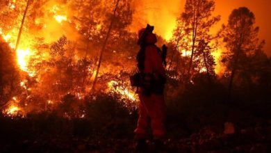 آتشسوزیهای ادامهدار ایالات متحده آمریکا؛ فیلمهایی از جهنم کارولینا 2 آتشسوزیهای ادامهدار ایالات متحده آمریکا؛ فیلمهایی از جهنم کارولینا