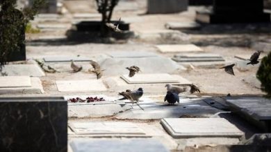 دفن بهداشتی جنینهای نارس در تهران؛ توضیحات عضو شورای شهر 8 دفن بهداشتی جنینهای نارس در تهران؛ توضیحات عضو شورای شهر