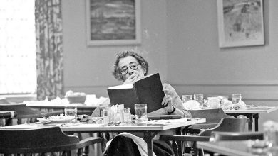 بررسی سه نوع فعالیت انسانی در فلسفه هانا آرنت 8 بررسی سه نوع فعالیت انسانی در فلسفه هانا آرنت