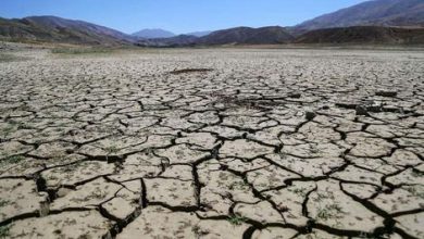 خشکسالی بیسابقه در کشور/ آب خط بحران را رد کرد 10 خشکسالی بیسابقه در کشور/ آب خط بحران را رد کرد