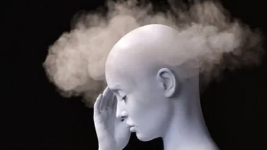 مه مغزی چیست؟ علل، تأثیرات و راهکارهای مقابله با آن 5 مه مغزی چیست؟ علل، تأثیرات و راهکارهای مقابله با آن