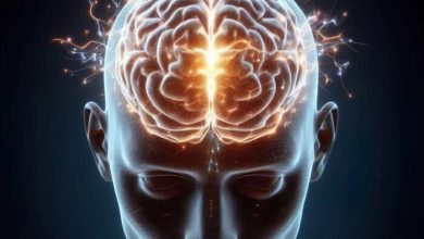 راز شگفتانگیز مغز: شنیدن در خواب 7 راز شگفتانگیز مغز: شنیدن در خواب