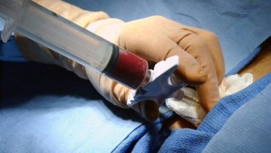 پوشش بیمهای پیوند مغز استخوان از امسال اجرایی میشود 6 پوشش بیمهای پیوند مغز استخوان از امسال اجرایی میشود