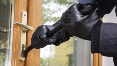 وقتی زولبیا و بامیه‌ها، راز سرقت را افشا می‌کنند!