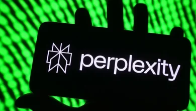 هوش مصنوعی پرپلکسیتی میخواهد تیکتاک را خریداری کند 6 هوش مصنوعی پرپلکسیتی میخواهد تیکتاک را خریداری کند