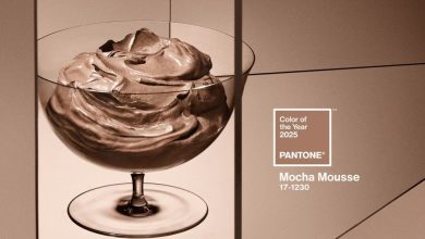 رنگ سال ۱۴۰۴ چیست؟ از موکا موس تا قهوهای آلویی 1 رنگ سال ۱۴۰۴ چیست؟ از موکا موس تا قهوهای آلویی