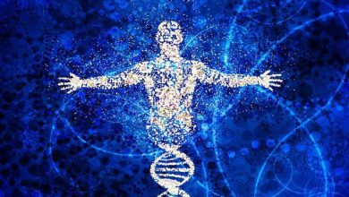 اثر خشونت تا نسلها در ژنوم ما برجای میماند 10 اثر خشونت تا نسلها در ژنوم ما برجای میماند