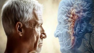 از چه سنی منتظر پیری مغز باشیم و چگونه آن را به تاخیر بیندازیم؟