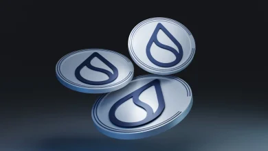 رقابت سویی (SUI) و اتریوم: آیا یک تغییر بازی در راه است؟ 5 رقابت سویی (SUI) و اتریوم: آیا یک تغییر بازی در راه است؟