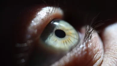 عمل جراحی نادر دندان در چشم؛ امیدی جدید برای درمان نابینایی 7 عمل جراحی نادر دندان در چشم؛ امیدی جدید برای درمان نابینایی