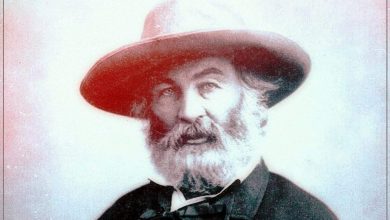 ۱۱ واقعیت جالب درباره والت ویتمن؛ پدر شعر آزاد آمریکا 2 ۱۱ واقعیت جالب درباره والت ویتمن؛ پدر شعر آزاد آمریکا