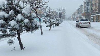 شرق مازندران، گلستان و خراسان شمالی: تداوم بارش‌ها در این مناطق. پیش‌بینی دما و رویدادهای ویژه (دو روز آینده) نوار شرقی کشور: وزش باد شدید با کاهش ۶ تا ۱۰ درجه‌ای دما و احتمال خیزش گردوخاک در یزد، کرمان و جنوب سیستان و بلوچستان. دریای خزر، خلیج فارس و تنگه هرمز: مواج بودن دریاها تا سه‌شنبه. دریای عمان نیز دوشنبه و سه‌شنبه ناآرام خواهد بود. ششم فروردین (چهارشنبه) استان‌های شمال شرقی: بارش باران و برف در گلستان، خراسان شمالی و خراسان رضوی. نوار غربی کشور: آرامش جو و افزایش نسبی دما. هفتم فروردین (پنجشنبه) اکثر مناطق کشور: حاکمیت جو پایدار و افزایش تدریجی دما. هشتم فروردین (جمعه) ارتفاعات البرز مرکزی و زاگرس جنوبی: افزایش ابرناکی و رگبارهای پراکنده به‌دنبال گذر امواج کم‌دامنه جو. وضعیت تهران طی روزهای آینده: آسمان عمدتاً صاف با وزش باد شدید و بارش‌های پراکنده در بعدازظهر. دمای پیش‌بینی‌شده بین ۵ تا ۲۲ درجه سانتیگراد.