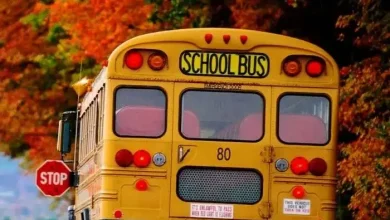 تصادف دلخراش سرویس مدرسه در کازرون | بررسی علت حادثه 7 تصادف دلخراش سرویس مدرسه در کازرون | بررسی علت حادثه