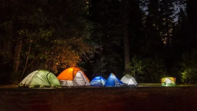 قیمت تورهای یکروزه و دوروزه جنگلی شمال در نوروز ۱۴۰۴ 9 قیمت تورهای یکروزه و دوروزه جنگلی شمال در نوروز ۱۴۰۴