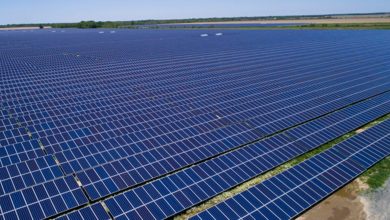 بزرگترین مزرعه خورشیدی جهان توسط چین راه‌اندازی شد؛ تامین انرژی برای حدود 10 میلیون نفر در یک پروژه!