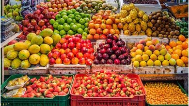 قیمت‌های عجیب میوه‌های نوبرانه در بازار؛ در بازار میوه چه خبر است؟ +جدول
