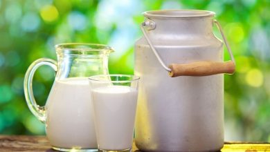 قیمت هر کیلو شیر خام به ۲۶۵۰۰ تومان رسید 7 سالمندان کدام خوراکیها را نباید بخورند؟