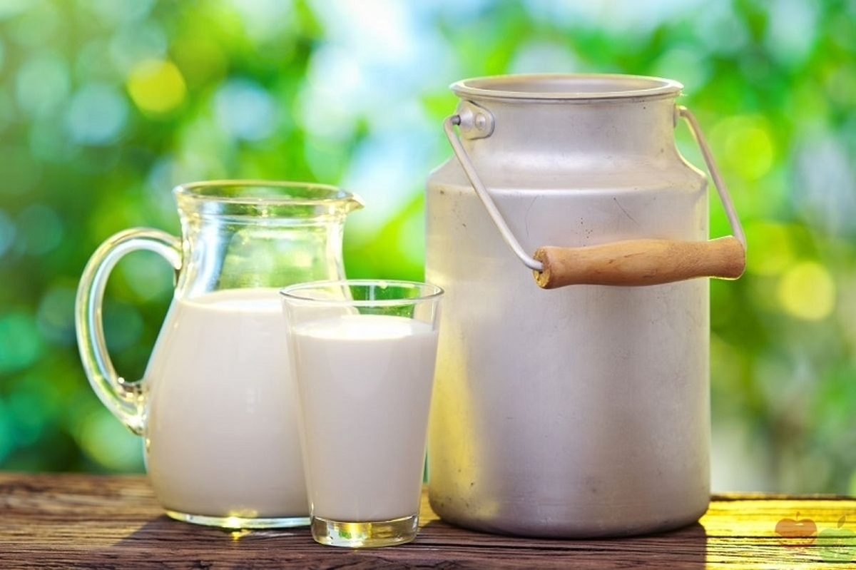 سالمندان کدام خوراکی‌ها را نباید بخورند؟