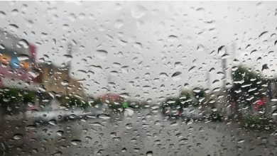 پیش‌بینی هواشناسی تا 6 هفته آینده: بارش نرمال در شمال و کاهش بارش در جنوب کشور
