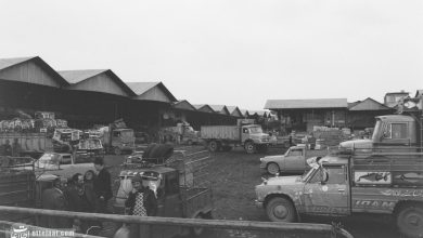 تره‌بار تهران 60 سال پیش چه‌گونه بود؟ +عکس