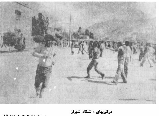 دانشگاه