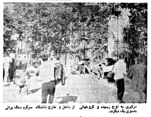 دانشگاه