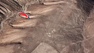 هوش مصنوعی یک معمای 100 ساله را ظرف مدت 6 ماه حل کرد