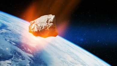 جیمز وب خاطر ما را آسوده کرد: سیارک ویرانگرشهر بی خطر است! 7 جیمز وب خاطر ما را آسوده کرد: سیارک ویرانگرشهر بی خطر است!