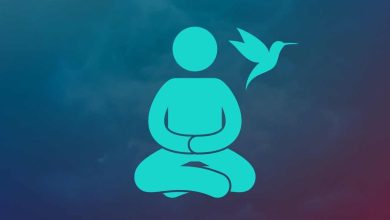 جذابیت نرم یا Soft Fascination: راهی برای رفع خستگی ذهن