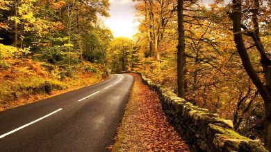 پیشبینی خشکسالی؛ پاییز امسال دیرتر آغاز میشود 8 پیشبینی خشکسالی؛ پاییز امسال دیرتر آغاز میشود