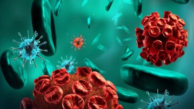 شانس تازه برای بیماران سرطانی با «ویروسهای ایمن» 6 شانس تازه برای بیماران سرطانی با «ویروسهای ایمن»