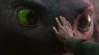 How to Train Your Dragon
