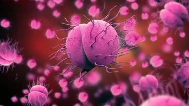 کشف جدیدی که باکتری سوزاک را وادار به خودکشی میکند 10 کشف جدیدی که باکتری سوزاک را وادار به خودکشی میکند