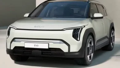 چهارمین سال پیروزی خودروسازان کره‌ای