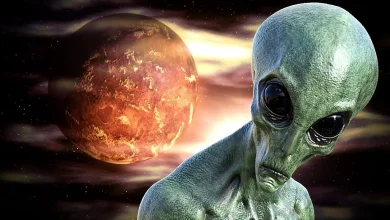 ناسا در مریخ سنگی یافت که شبیه جمجمه است