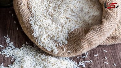 هشدار سازمان غذا و دارو: برنج هندی «سان لند» غیرمجاز است 5 واردات این نوع از برنج هندی ممنوع شد