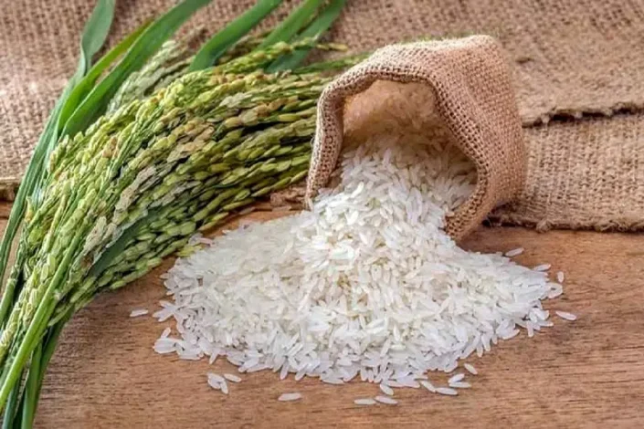 فروش برنج پاکستانی با بسته بندی برنج ایرانی؛ مراقب کیفیت برنجی که میخرید باشید! 1 فروش برنج پاکستانی با بسته بندی برنج ایرانی