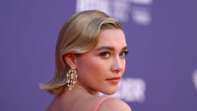 سرقت از همراهان فلورنس پیو پس از مراسم «انتقامجویان» در لندن 10 سرقت از همراهان فلورنس پیو پس از مراسم «انتقامجویان» در لندن