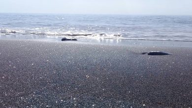هرمز