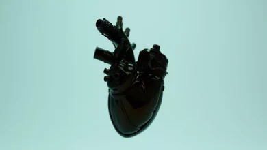 پیوند یک قلب مصنوعی 45 گرمی، جان کودک 7 ساله چینی را نجات داد