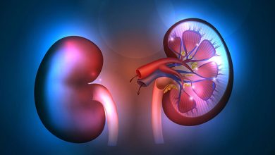 این علائم نشاندهنده آسیب حاد کلیه است 6 این علائم نشاندهنده آسیب حاد کلیه است