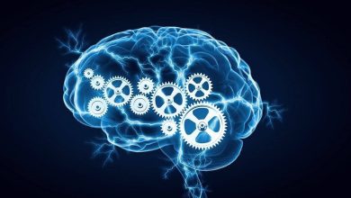 ۷ راهکار علمی برای تقویت یادگیری و افزایش بهرهوری ذهنی 1 ۷ راهکار علمی برای تقویت یادگیری و افزایش بهرهوری ذهنی